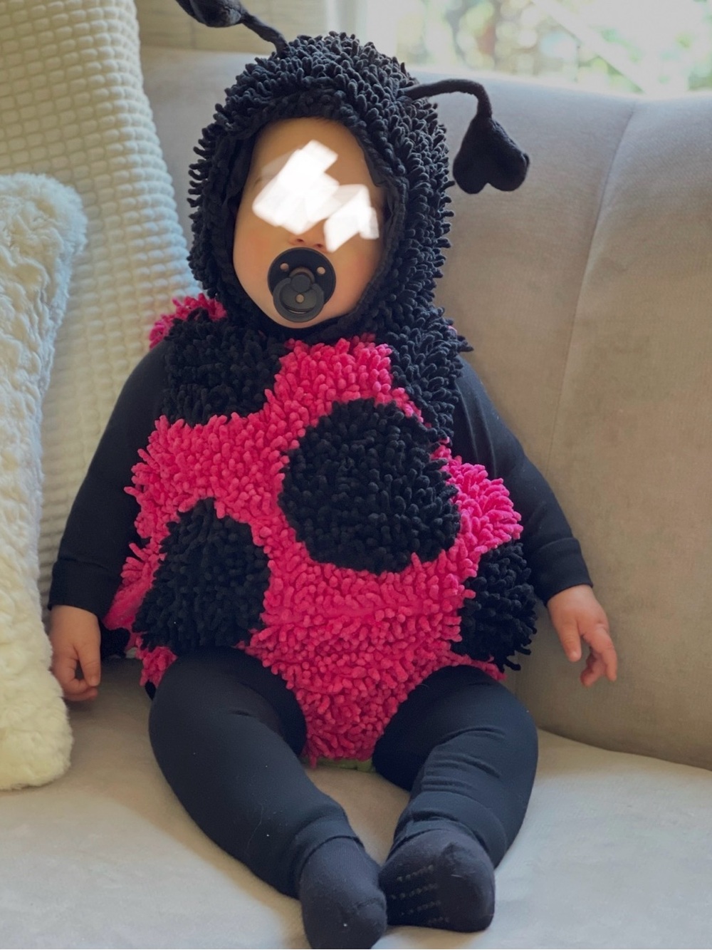 Princess Paradise Pink and Black Ladybug Costume 6-12 months